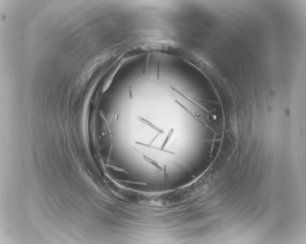 X0000055520687200508151431