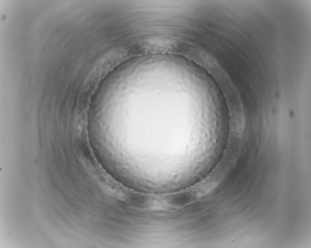 X0000055520701200508151430