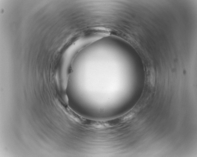 X0000055520712200508151430