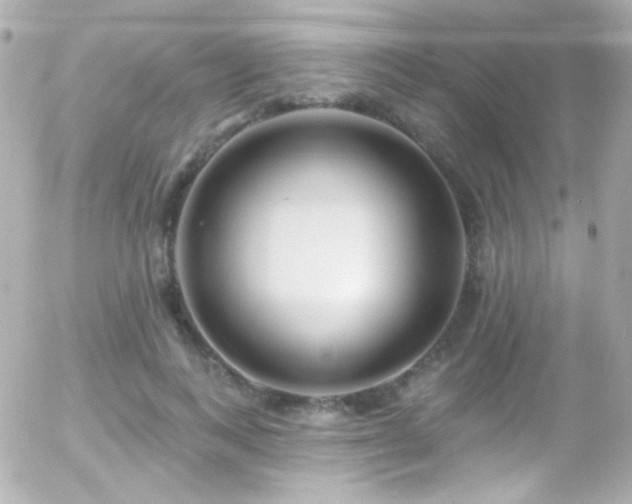 X0000055520743200508151430