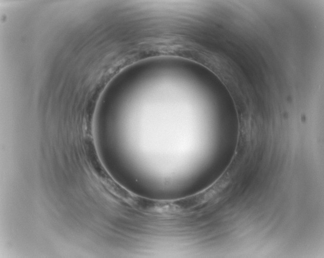 X0000055520752200508151430