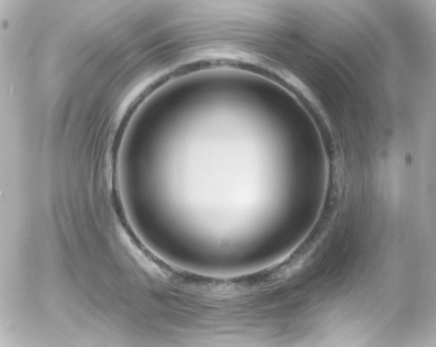 X0000055520791200508151429