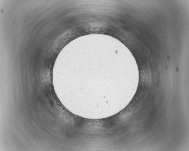 X0000055520820200508151428