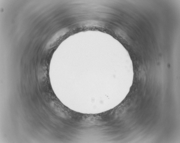 X0000055520824200508151428