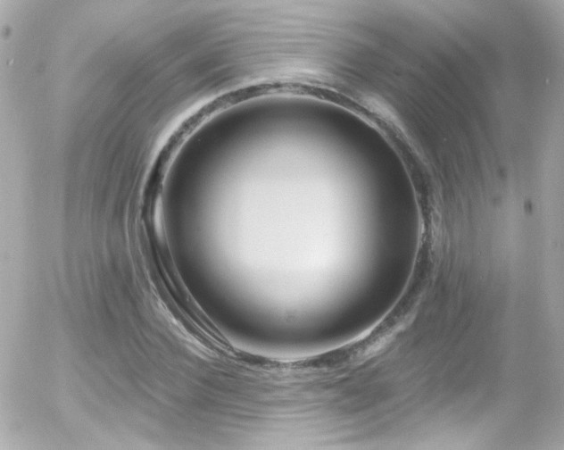 X0000055520924200508151426