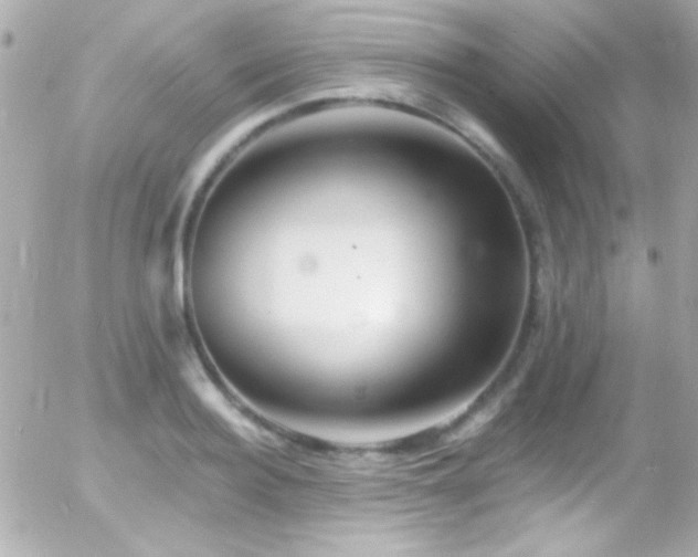 X0000055520940200508151426