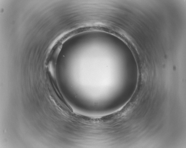 X0000055520975200508151426