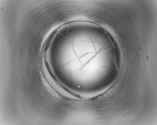 X0000055521008200508151425