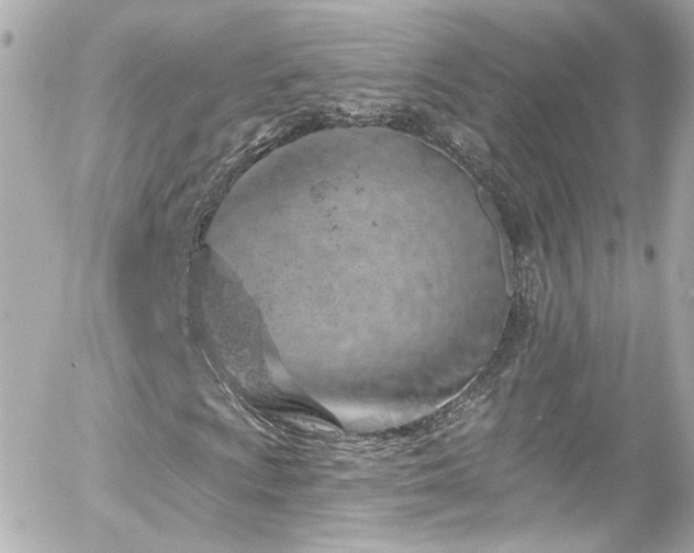 X0000055521009200508151424