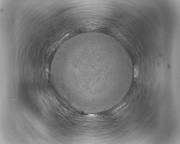 X0000055521011200508151424