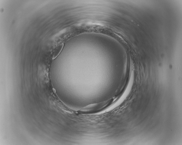 X0000055521013200508151425