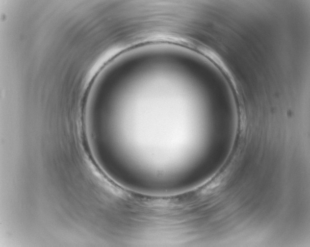 X0000055521048200508151425