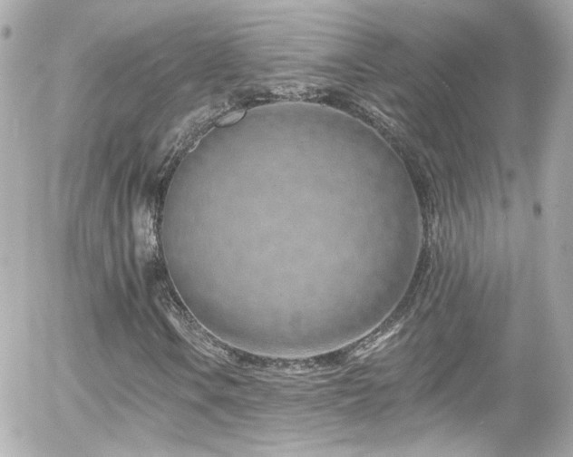 X0000055521106200508151423