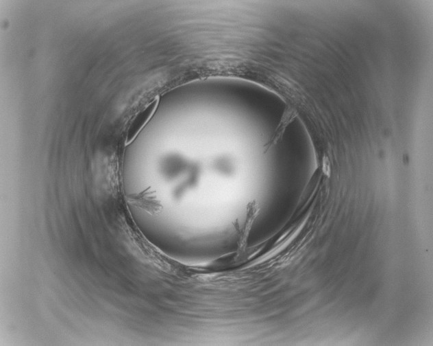 X0000055521107200508151423