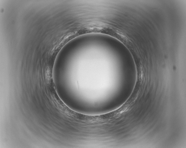 X0000055521108200508151423