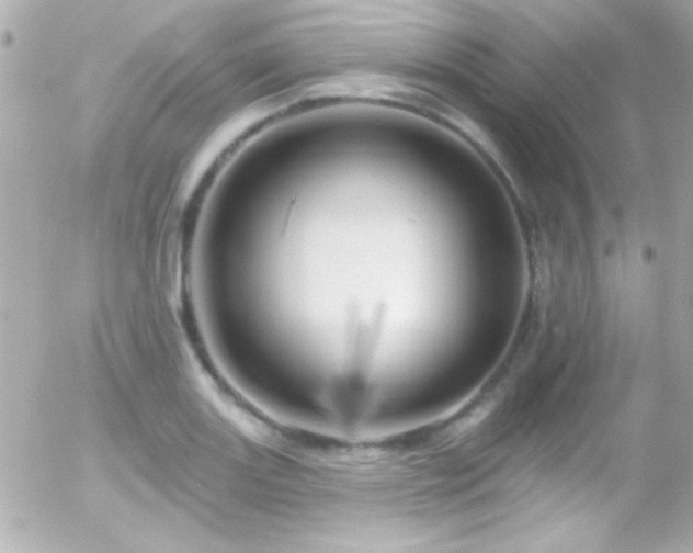 X0000055521131200508151423