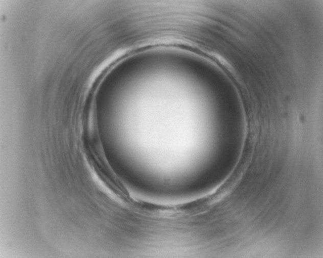 X0000055521134200508151423