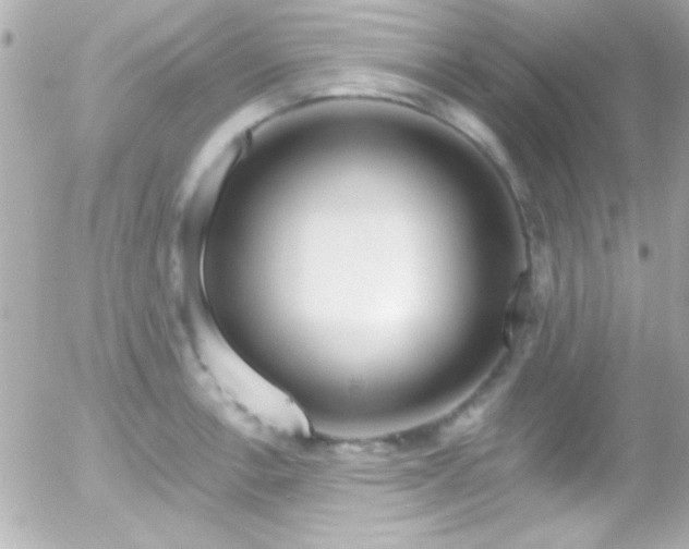 X0000055521138200508151423