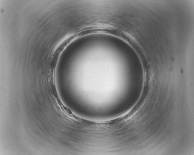 X0000055521163200508151423