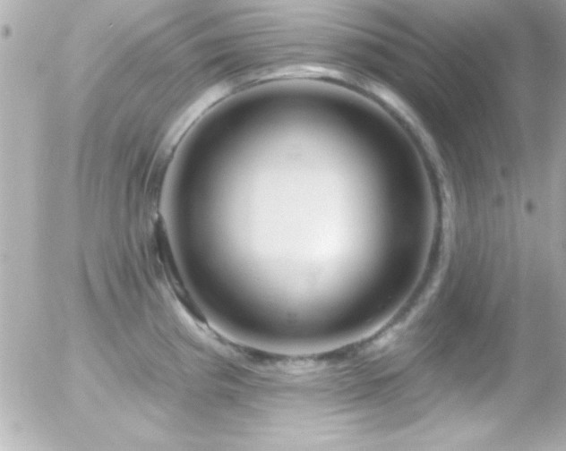 X0000055521193200508151422