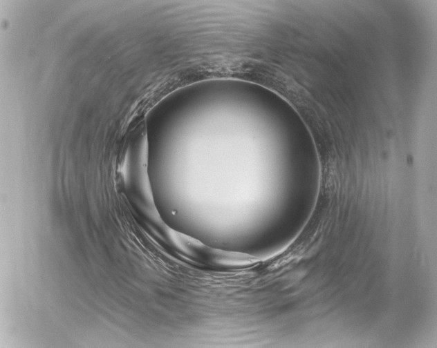 X0000055521202200508151421
