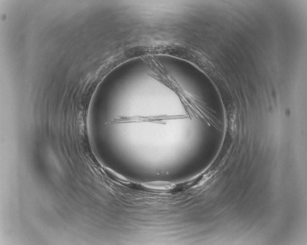 X0000055521204200508151421