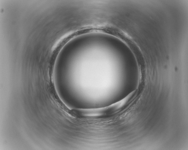 X0000055521214200508151421