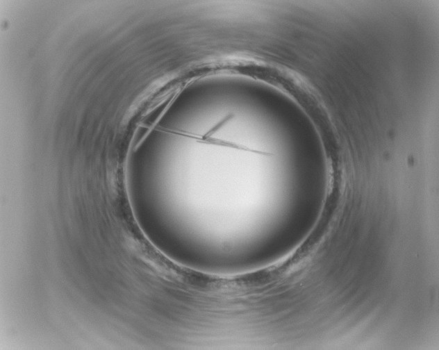 X0000055521217200508151421