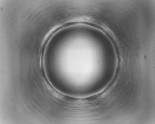 X0000055521224200508151422