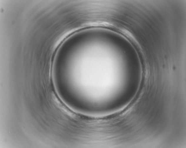X0000055521228200508151422