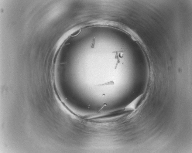 X0000055521247200508151422