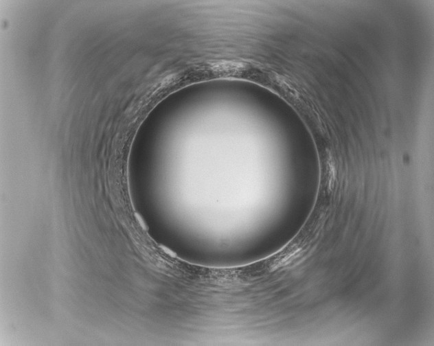 X0000055521249200508151421