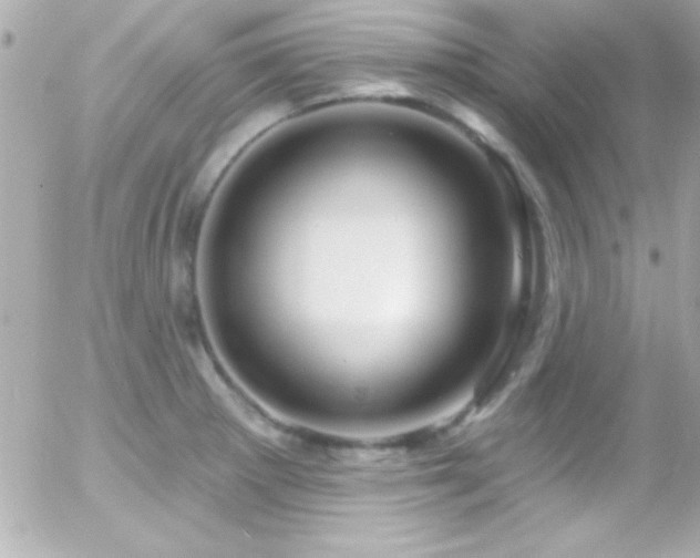 X0000055521281200508151421