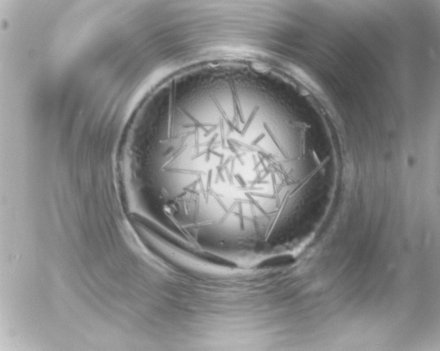 X0000055521283200508151421