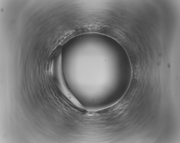 X0000055521298200508151420