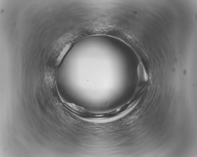 X0000055521300200508151420