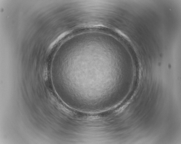 X0000055521306200508151420