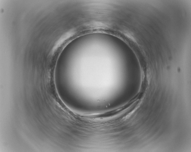 X0000055521309200508151420