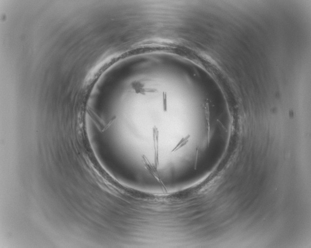 X0000055521355200508151419