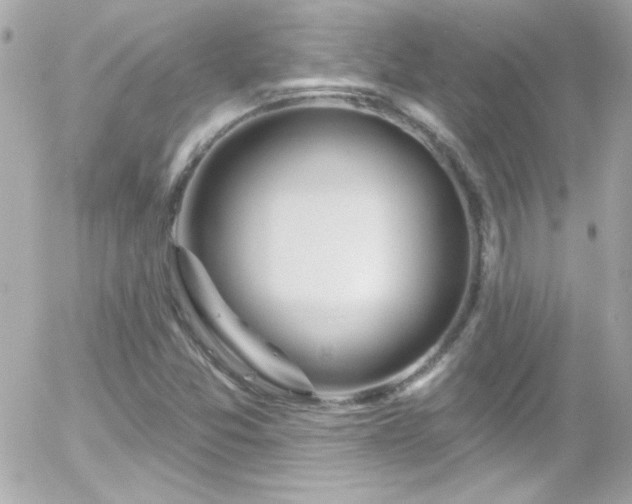 X0000055521357200508151419