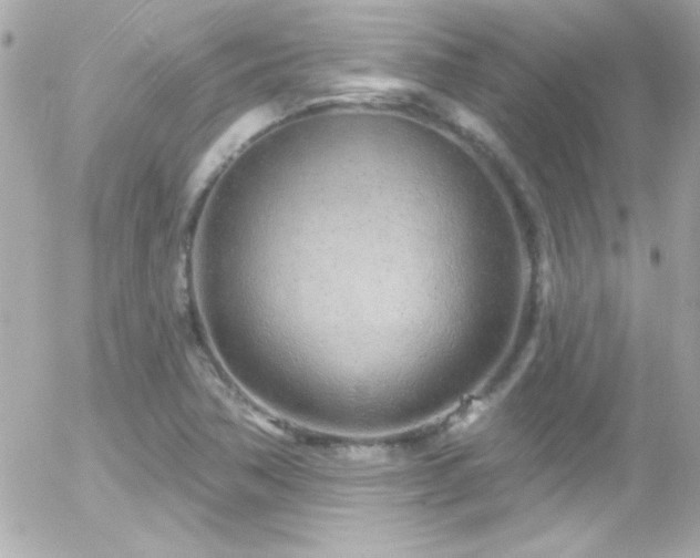 X0000055521362200508151419