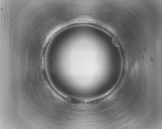 X0000055521366200508151419