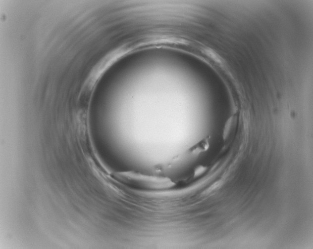 X0000055521369200508151419