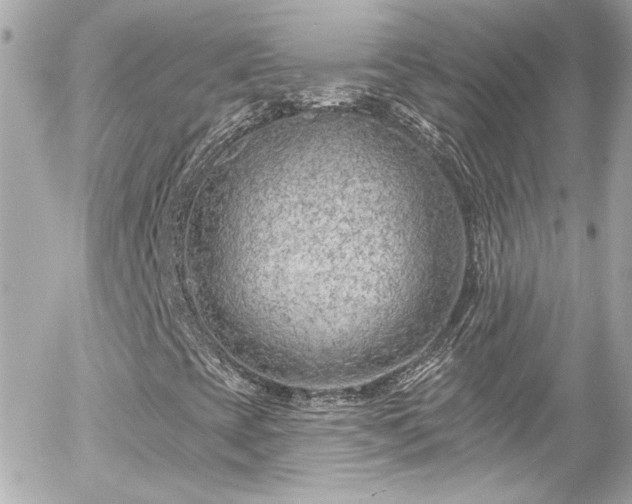 X0000055521393200508151418