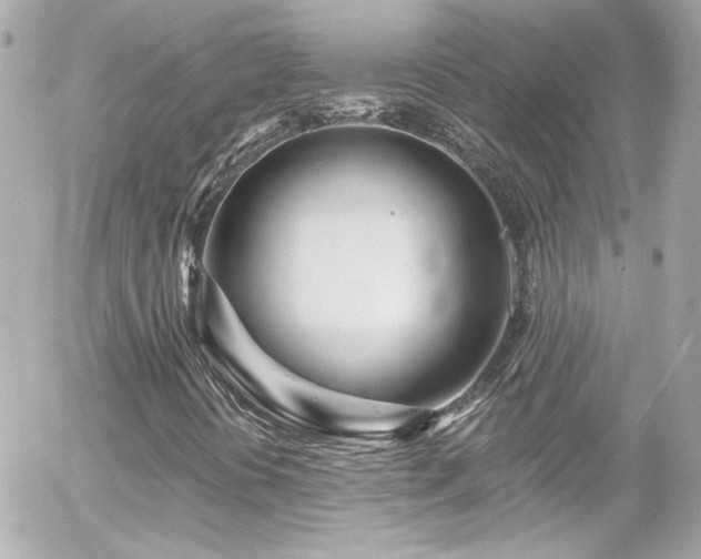 X0000055521394200508151418