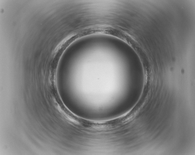 X0000055521402200508151418