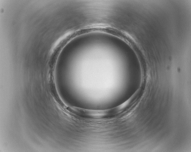 X0000055521406200508151418