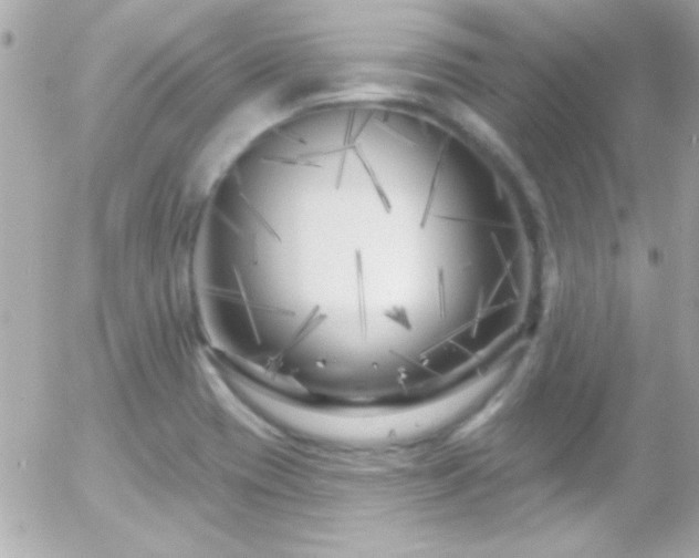 X0000055521417200508151418
