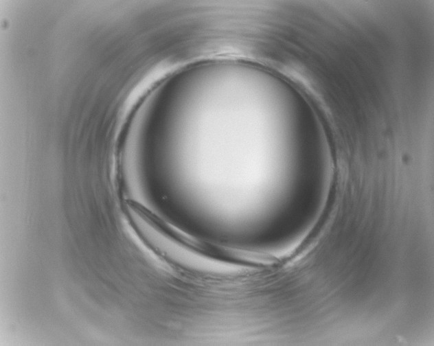 X0000055521424200508151419