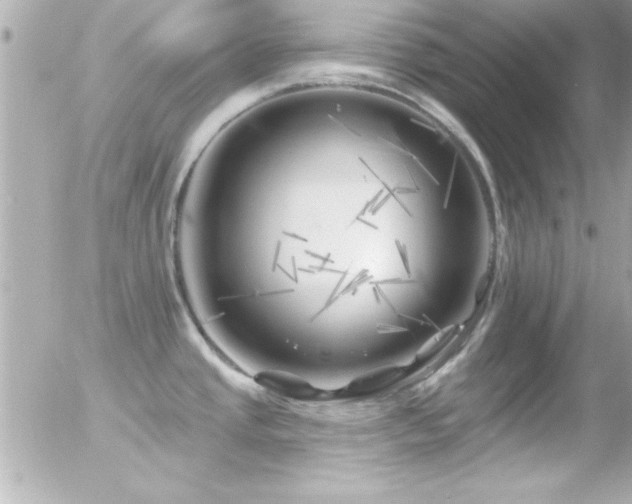 X0000055521437200508151419
